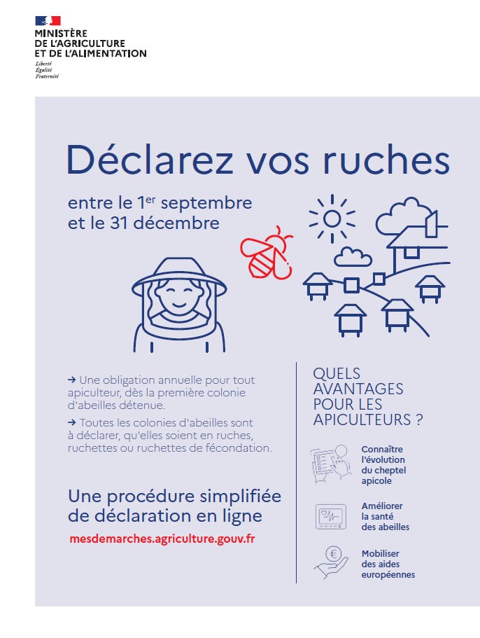 Déclaration rucher 2022